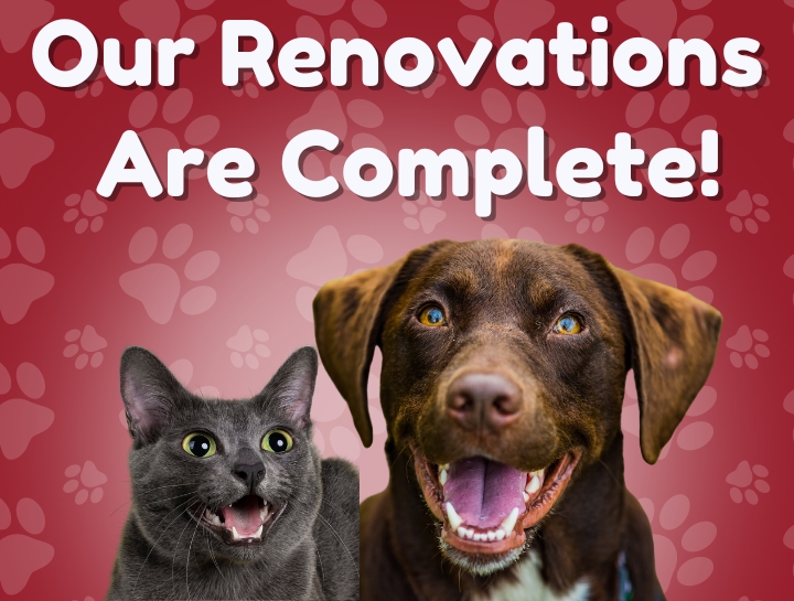 Our Renovations Are Complete!