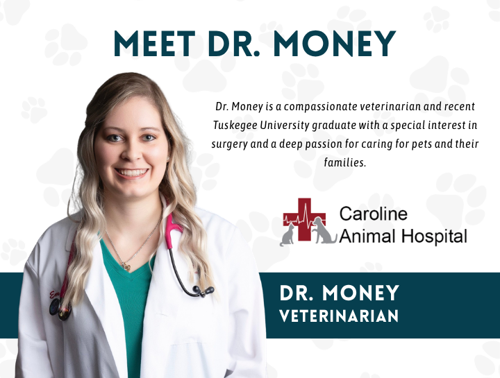 Welcome Dr. Money to Caroline Animal Hospital!